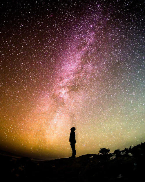 Person standing under a starry sky